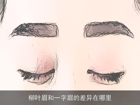 柳叶眉和一字眉的差异在哪里