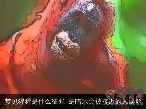 梦见猩猩是什么征兆 是暗示会被接近的人误解