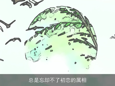 总是忘却不了初恋的属相