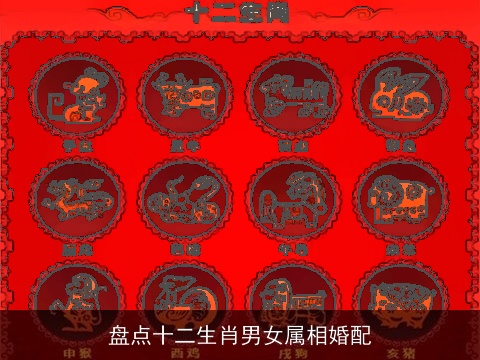 盘点十二生肖男女属相婚配