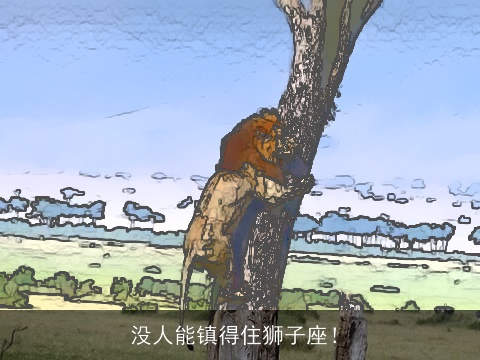 没人能镇得住狮子座！