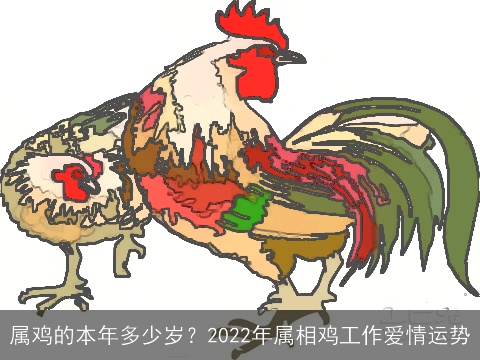 属鸡的本年多少岁？2022年属相鸡工作爱情运势