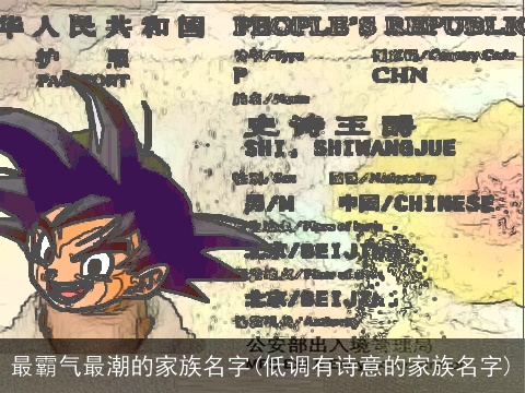 最霸气最潮的家族名字(低调有诗意的家族名字)