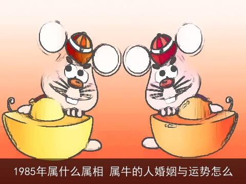 1985年属什么属相 属牛的人婚姻与运势怎么