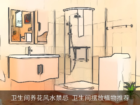 卫生间养花风水禁忌 卫生间摆放植物推荐