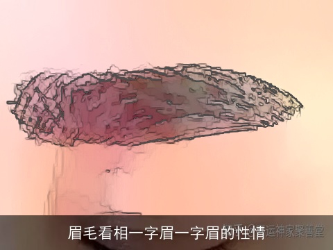 眉毛看相一字眉一字眉的性情