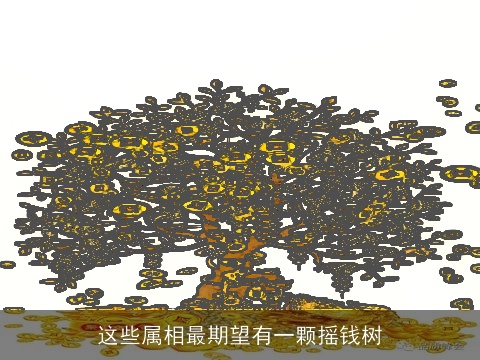 这些属相最期望有一颗摇钱树