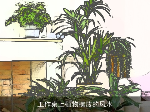 工作桌上植物摆放的风水