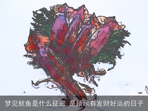 梦见鱿鱼是什么征兆 是预示有发财好运的日子
