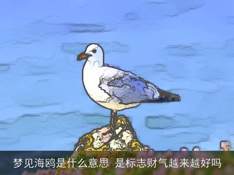 梦见海鸥是什么意思 是标志财气越来越好吗