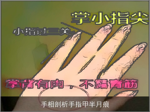 手相剖析手指甲半月痕
