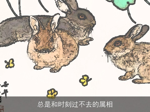 总是和时刻过不去的属相