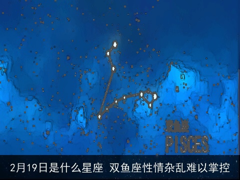 2月19日是什么星座 双鱼座性情杂乱难以掌控