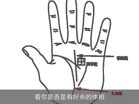 看你是否是有好命的体相