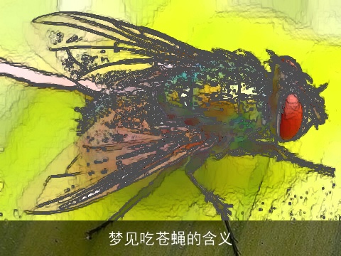 梦见吃苍蝇的含义