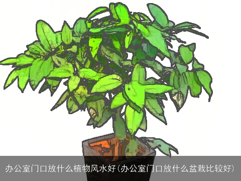 办公室门口放什么植物风水好(办公室门口放什么盆栽比较好)