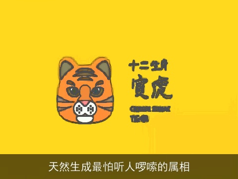 天然生成最怕听人啰嗦的属相