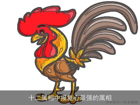 十二属相中报复心最强的属相