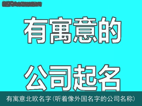 有寓意北欧名字(听着像外国名字的公司名称)