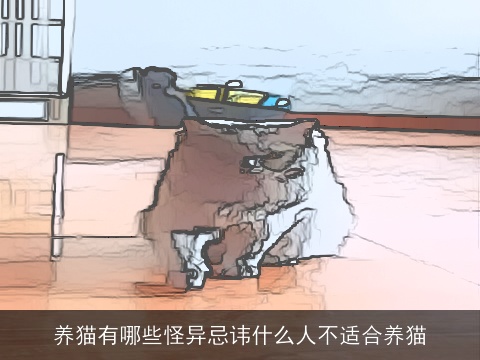 养猫有哪些怪异忌讳什么人不适合养猫