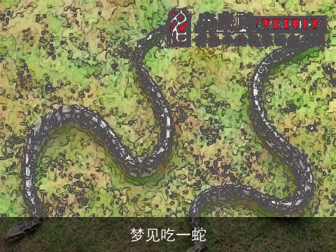 梦见吃一蛇