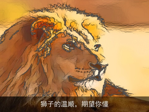 狮子的温顺，期望你懂