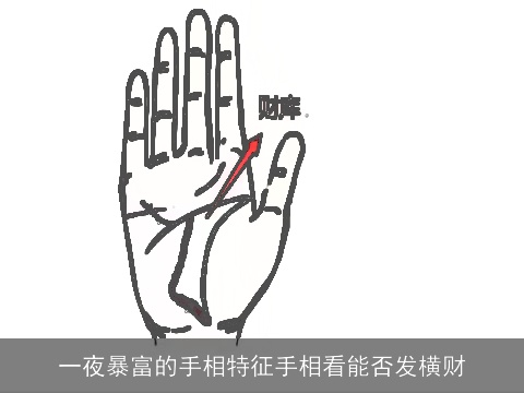 一夜暴富的手相特征手相看能否发横财