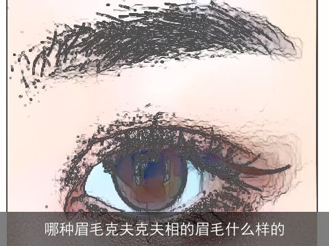 哪种眉毛克夫克夫相的眉毛什么样的