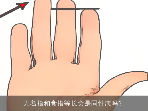 无名指和食指等长会是同性恋吗？