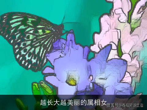 越长大越美丽的属相女