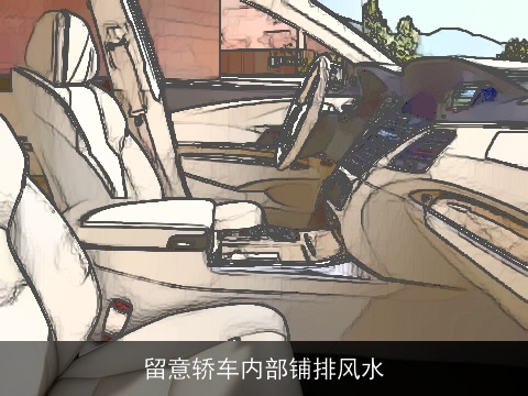 留意轿车内部铺排风水