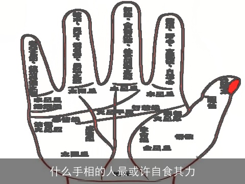 什么手相的人最或许自食其力