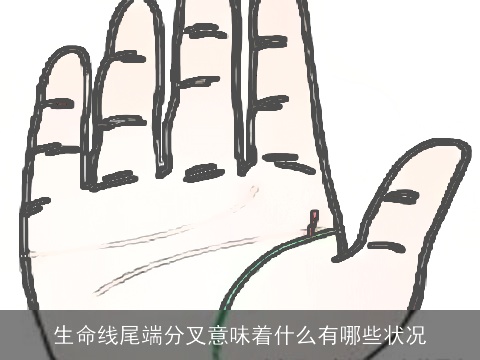 生命线尾端分叉意味着什么有哪些状况