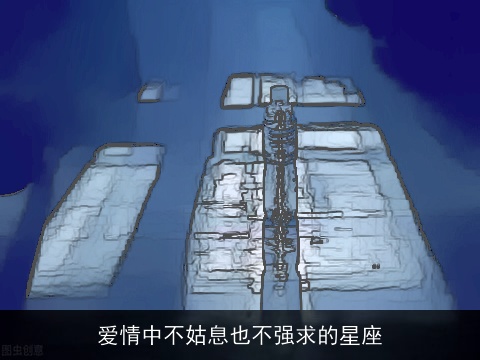 爱情中不姑息也不强求的星座