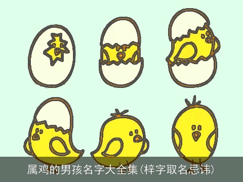 属鸡的男孩名字大全集(梓字取名忌讳)