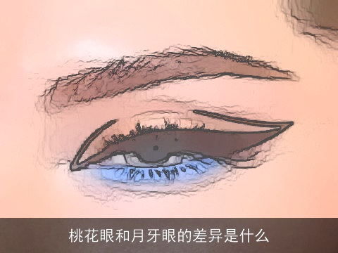 桃花眼和月牙眼的差异是什么