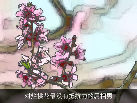 对烂桃花最没有抵抗力的属相男