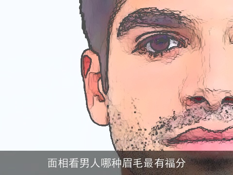 面相看男人哪种眉毛最有福分