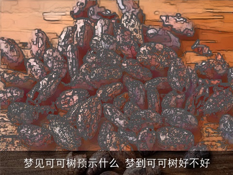 梦见可可树预示什么 梦到可可树好不好