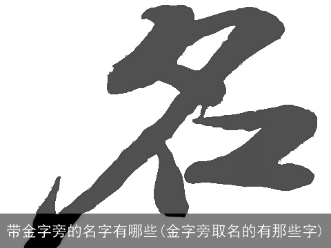 带金字旁的名字有哪些(金字旁取名的有那些字)