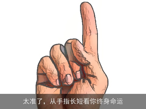 太准了，从手指长短看你终身命运