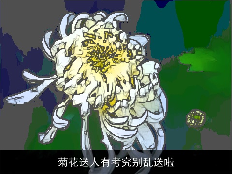 菊花送人有考究别乱送啦