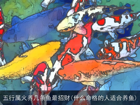 五行属火养几条鱼最招财(什么命格的人适合养鱼)