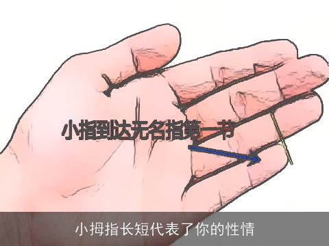 小拇指长短代表了你的性情