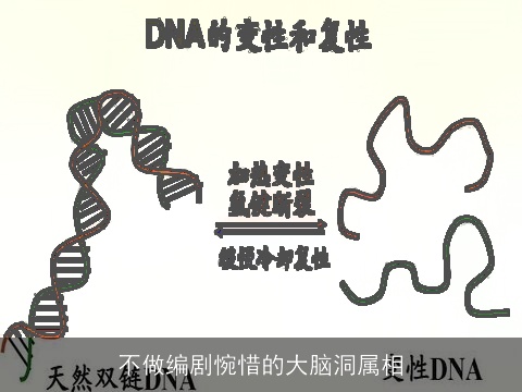 不做编剧惋惜的大脑洞属相