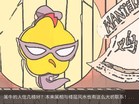 属牛的人住几楼好？本来属相与楼层风水也有这么大的联系！...