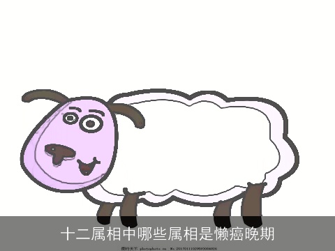 十二属相中哪些属相是懒癌晚期