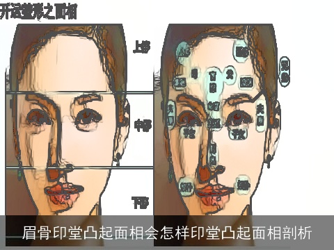 眉骨印堂凸起面相会怎样印堂凸起面相剖析