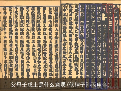 父母壬戌土是什么意思(伏神子孙丙申金)