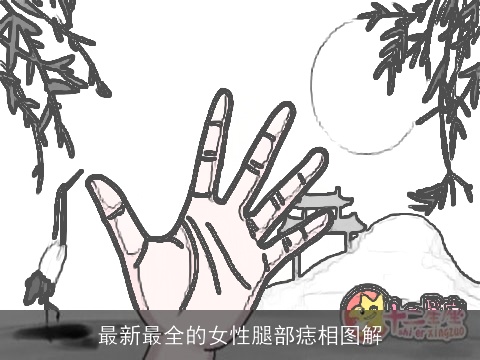 最新最全的女性腿部痣相图解